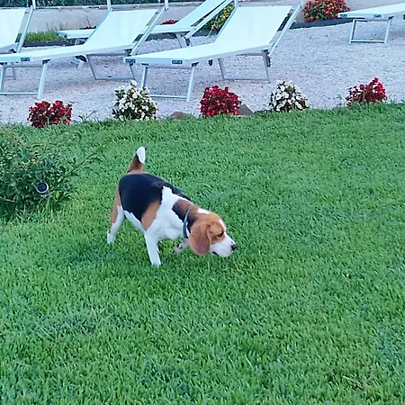 B&B Melina 3*